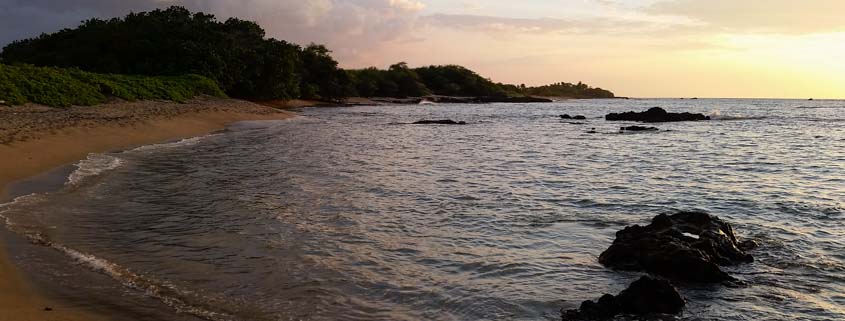 Shoreline Hike at A-Bay