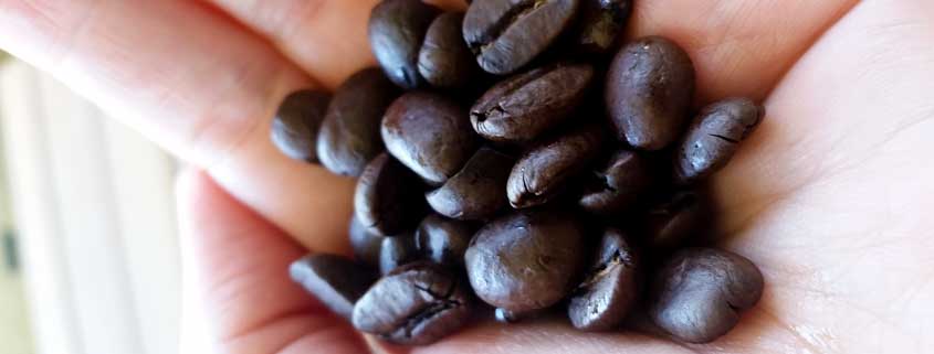kona coffee beans